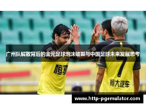 广州队解散背后的金元足球泡沫破裂与中国足球未来发展思考