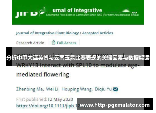 分析中甲大连英博与云南玉昆比赛表现的关键因素与数据解读