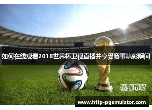 如何在线观看2018世界杯卫视直播并享受赛事精彩瞬间