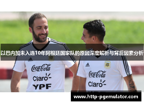 以巴内加未入选10年阿根廷国家队的原因深度解析与背后因素分析