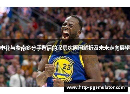 申花与费南多分手背后的深层次原因解析及未来走向展望