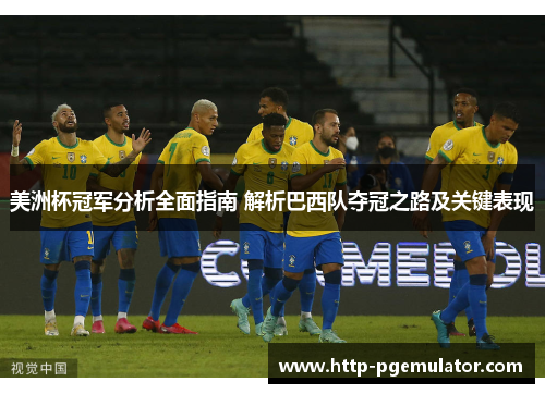 美洲杯冠军分析全面指南 解析巴西队夺冠之路及关键表现