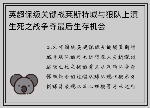 英超保级关键战莱斯特城与狼队上演生死之战争夺最后生存机会